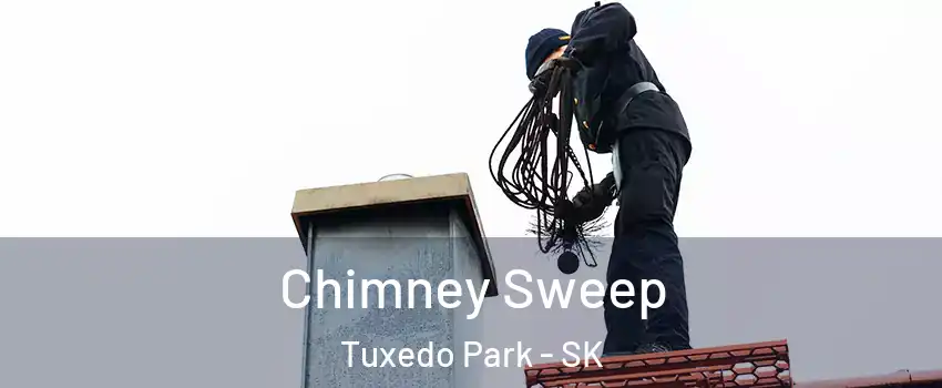  Chimney Sweep Tuxedo Park - SK