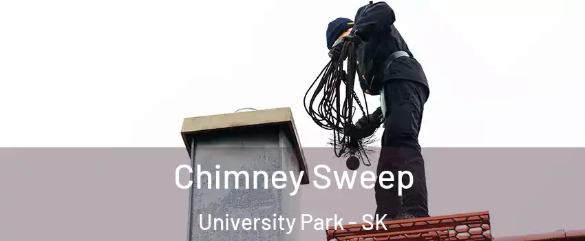  Chimney Sweep University Park - SK