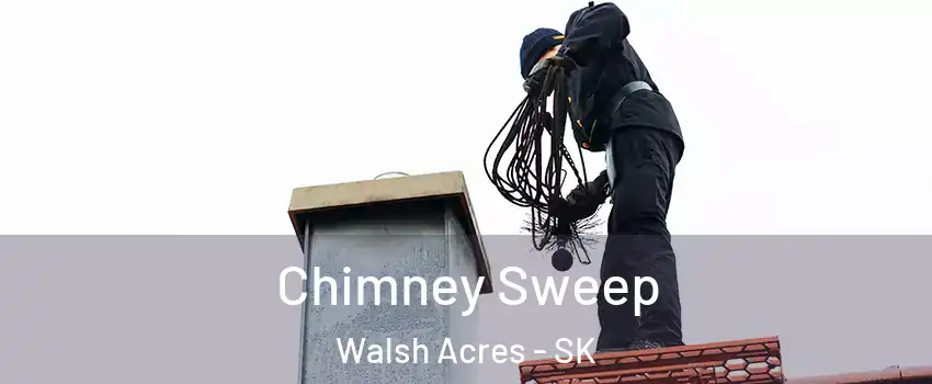  Chimney Sweep Walsh Acres - SK