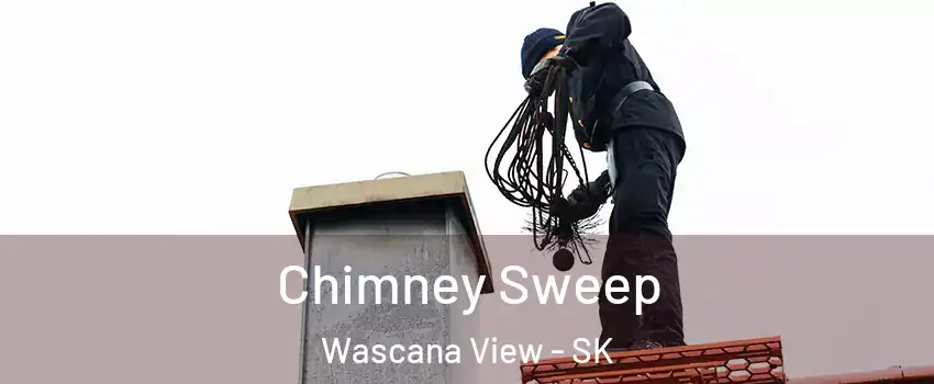  Chimney Sweep Wascana View - SK