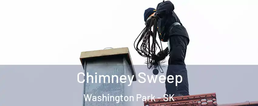  Chimney Sweep Washington Park - SK