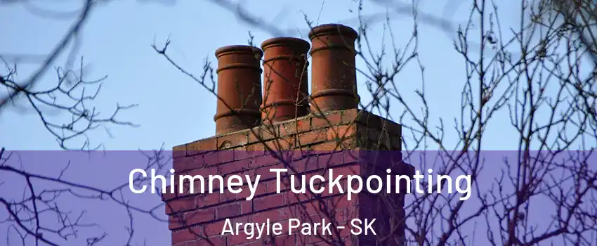  Chimney Tuckpointing Argyle Park - SK