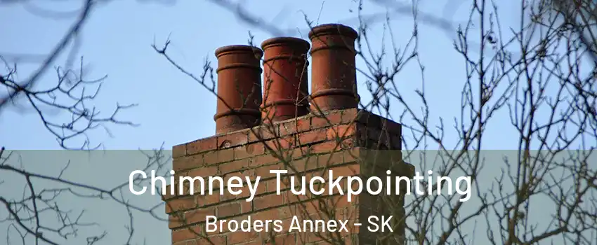  Chimney Tuckpointing Broders Annex - SK