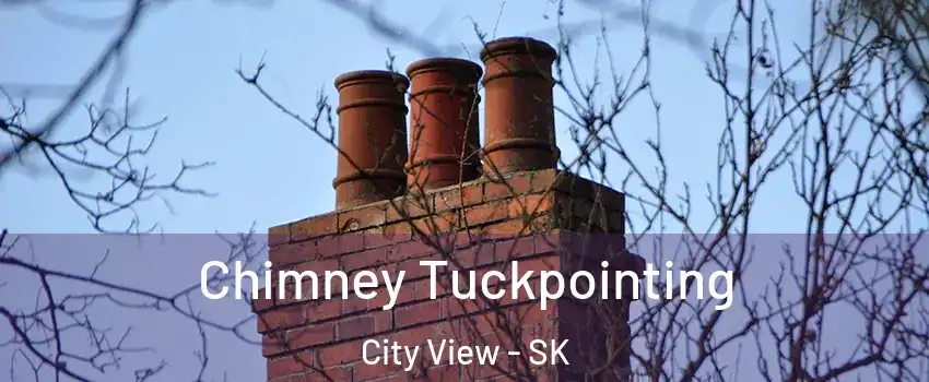  Chimney Tuckpointing City View - SK