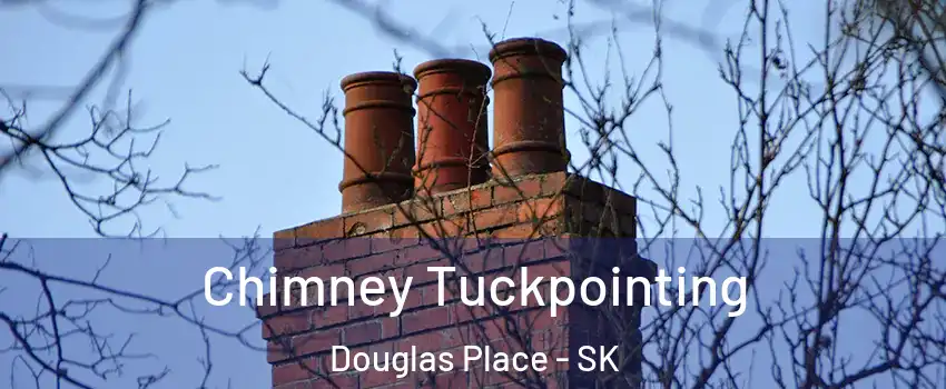  Chimney Tuckpointing Douglas Place - SK