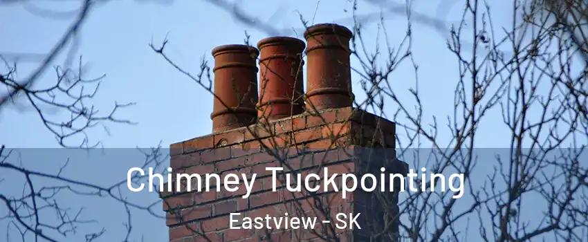  Chimney Tuckpointing Eastview - SK