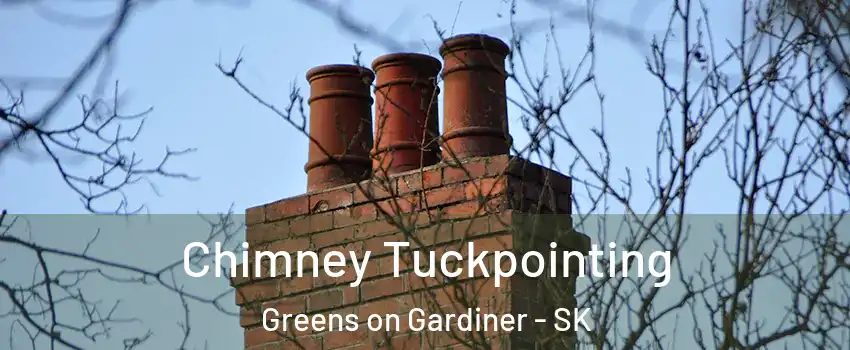  Chimney Tuckpointing Greens on Gardiner - SK
