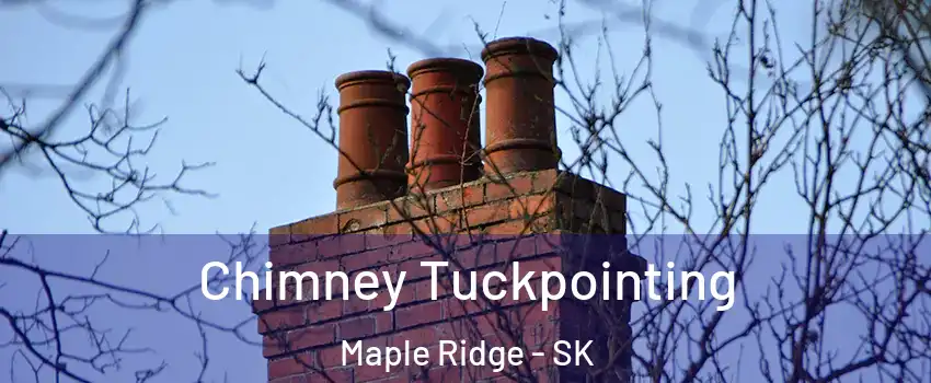  Chimney Tuckpointing Maple Ridge - SK