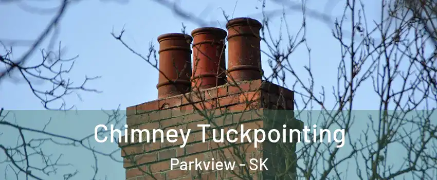  Chimney Tuckpointing Parkview - SK