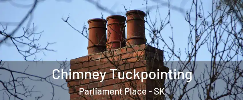  Chimney Tuckpointing Parliament Place - SK