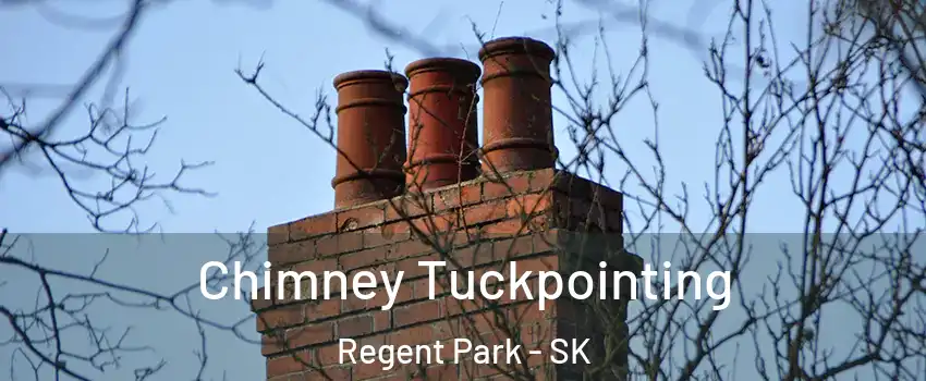  Chimney Tuckpointing Regent Park - SK