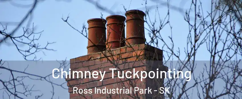  Chimney Tuckpointing Ross Industrial Park - SK