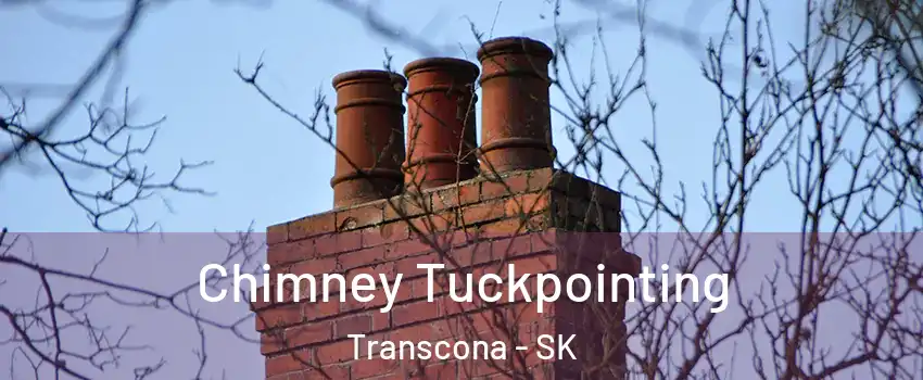  Chimney Tuckpointing Transcona - SK