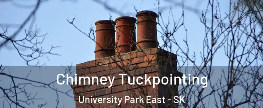  Chimney Tuckpointing University Park East - SK