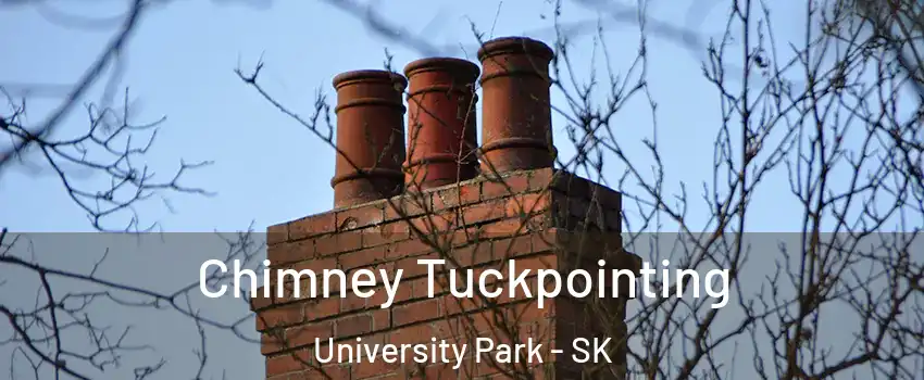  Chimney Tuckpointing University Park - SK