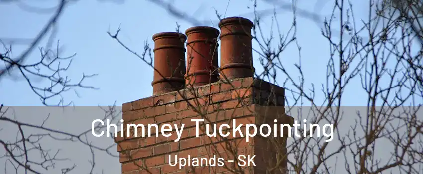  Chimney Tuckpointing Uplands - SK