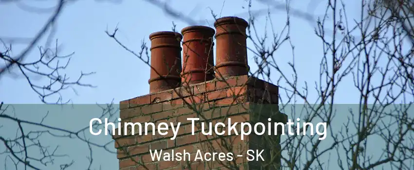  Chimney Tuckpointing Walsh Acres - SK