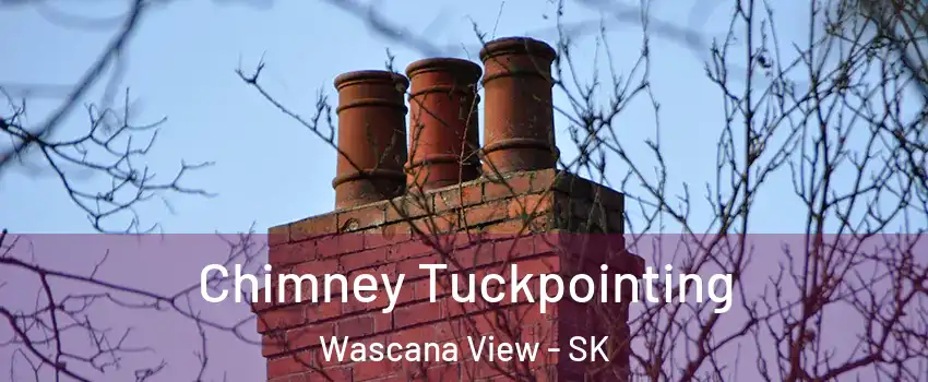  Chimney Tuckpointing Wascana View - SK