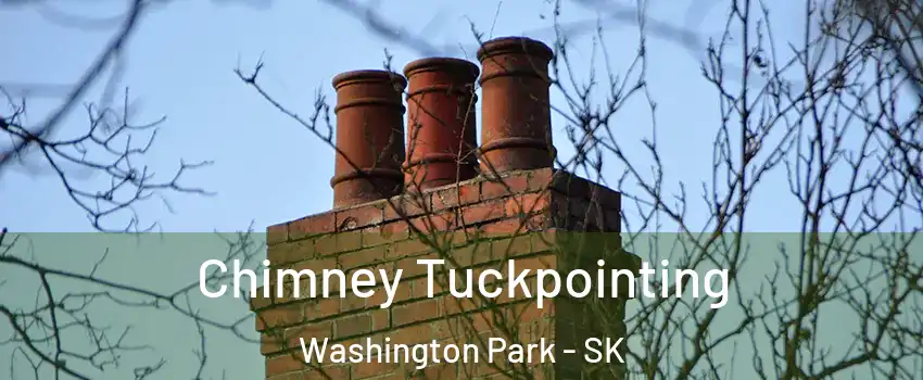  Chimney Tuckpointing Washington Park - SK