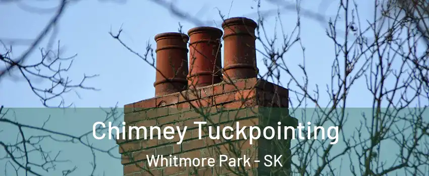  Chimney Tuckpointing Whitmore Park - SK