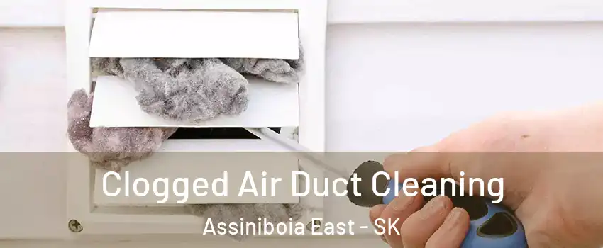 Clogged Air Duct Cleaning Assiniboia East - SK