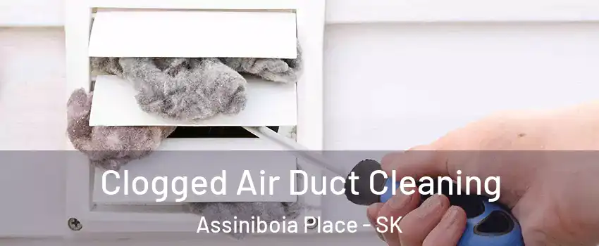  Clogged Air Duct Cleaning Assiniboia Place - SK
