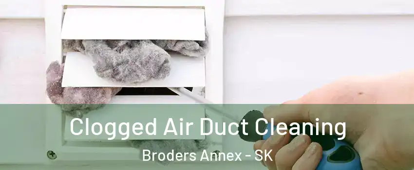 Clogged Air Duct Cleaning Broders Annex - SK