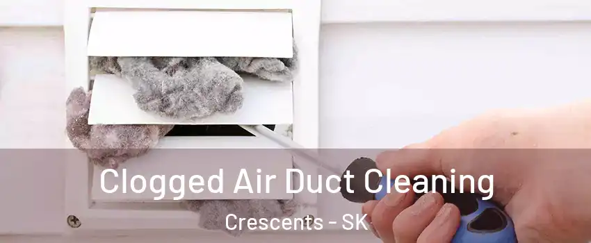  Clogged Air Duct Cleaning Crescents - SK