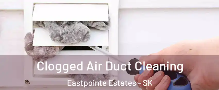 Clogged Air Duct Cleaning Eastpointe Estates - SK