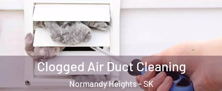  Clogged Air Duct Cleaning Normandy Heights - SK