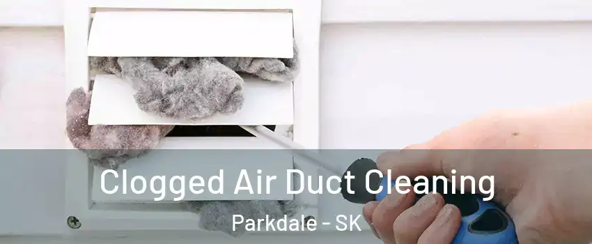  Clogged Air Duct Cleaning Parkdale - SK