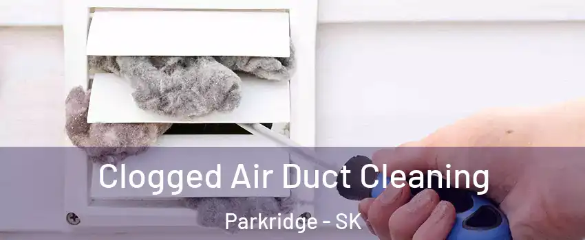 Clogged Air Duct Cleaning Parkridge - SK