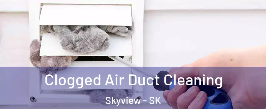  Clogged Air Duct Cleaning Skyview - SK