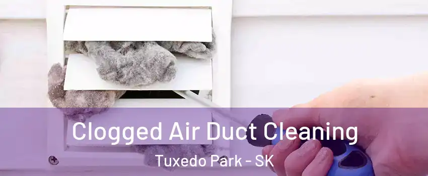  Clogged Air Duct Cleaning Tuxedo Park - SK