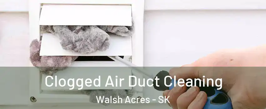 Clogged Air Duct Cleaning Walsh Acres - SK