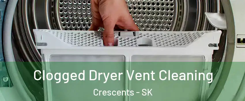  Clogged Dryer Vent Cleaning Crescents - SK