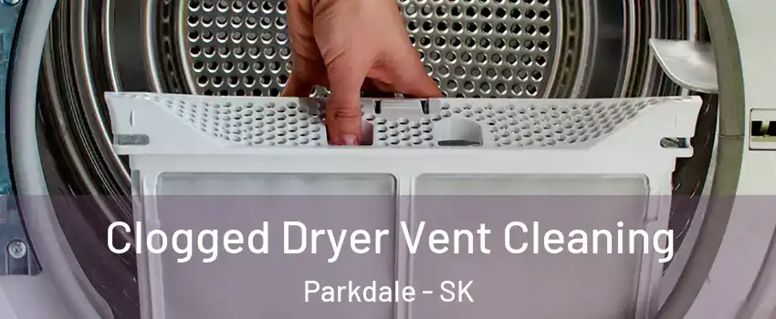  Clogged Dryer Vent Cleaning Parkdale - SK