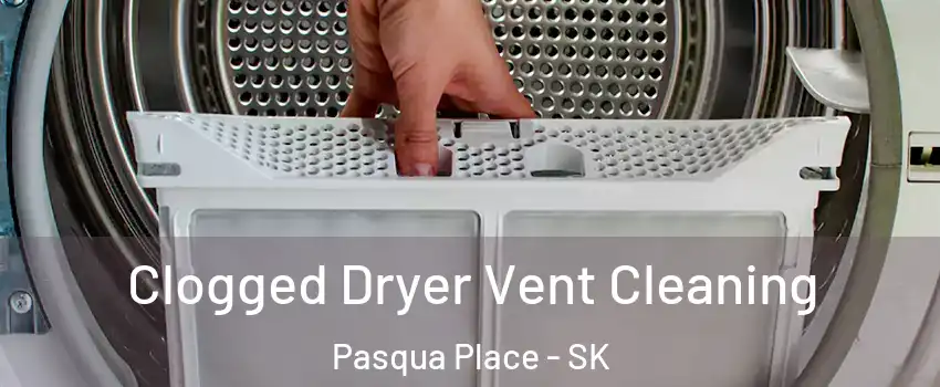  Clogged Dryer Vent Cleaning Pasqua Place - SK