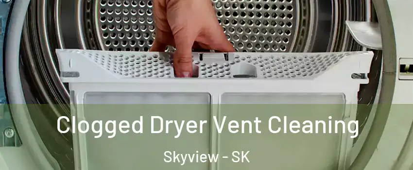  Clogged Dryer Vent Cleaning Skyview - SK