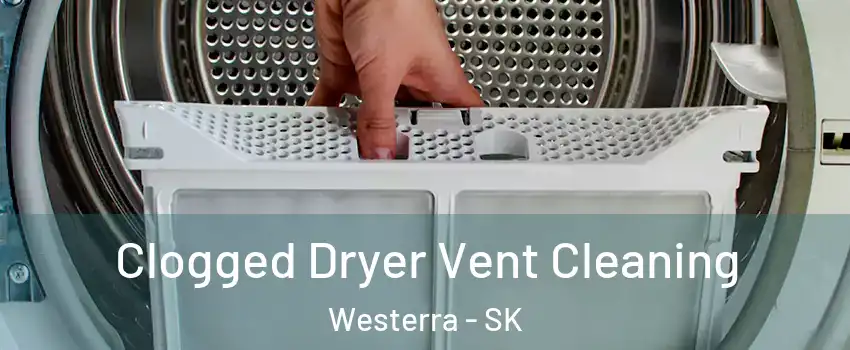  Clogged Dryer Vent Cleaning Westerra - SK