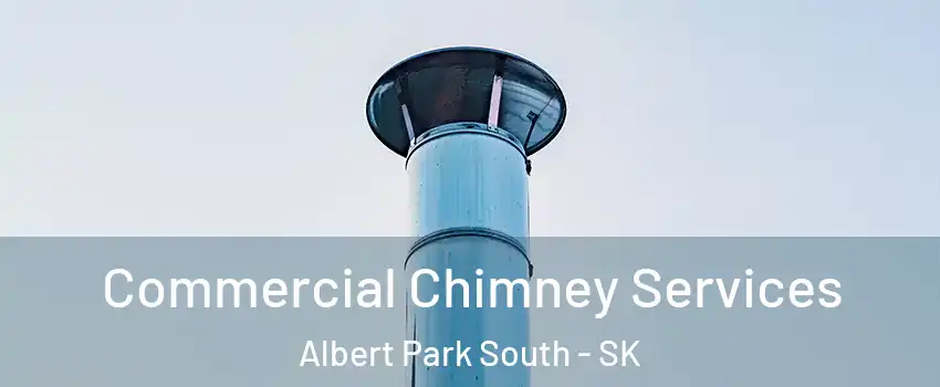  Commercial Chimney Services Albert Park South - SK