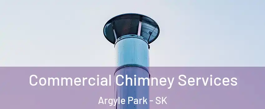 Commercial Chimney Services Argyle Park - SK