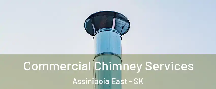  Commercial Chimney Services Assiniboia East - SK