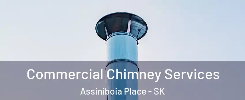  Commercial Chimney Services Assiniboia Place - SK