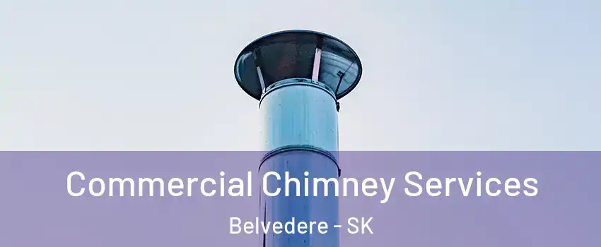  Commercial Chimney Services Belvedere - SK
