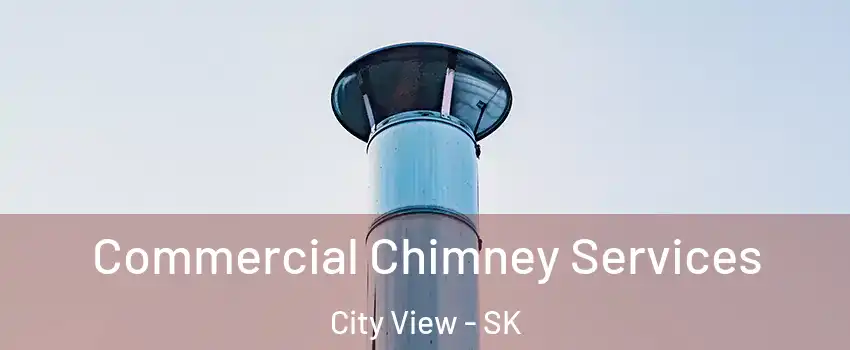  Commercial Chimney Services City View - SK