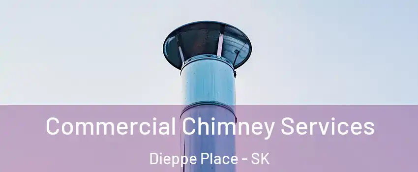  Commercial Chimney Services Dieppe Place - SK