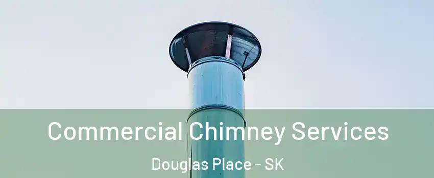  Commercial Chimney Services Douglas Place - SK