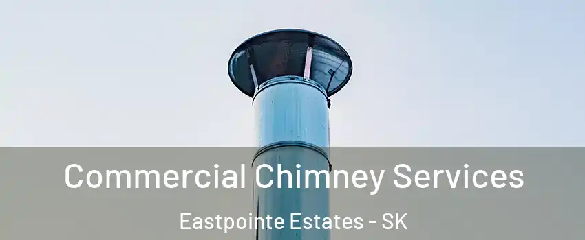  Commercial Chimney Services Eastpointe Estates - SK