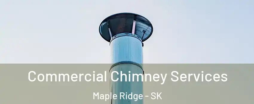 Commercial Chimney Services Maple Ridge - SK